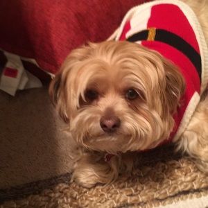 Meet your Posher, Joseph